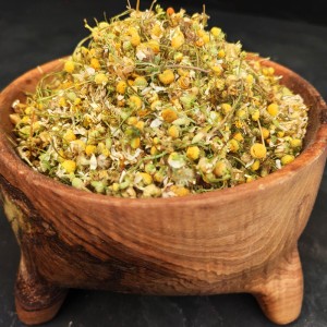 خرید بابونه شیرازی اصل تیارمزه