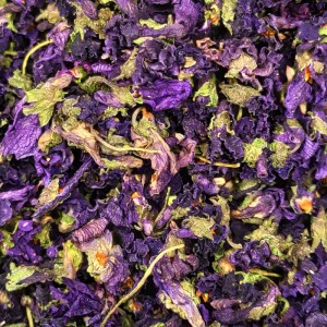 خرید گل بنفشه