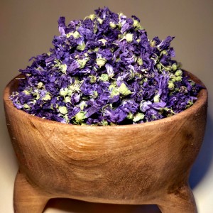 پنیرک فوق العاده تمیز اعلای تیارمزه