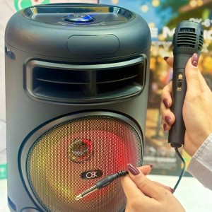 اسپیکر  پارتی باکس مدل  OK_617