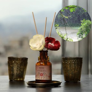 خوشبو کننده هوا  با رایحه Rain Forest