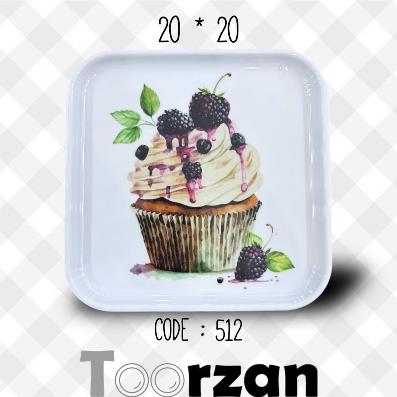 سینی پذیرایی ۲۰ در ۲۰