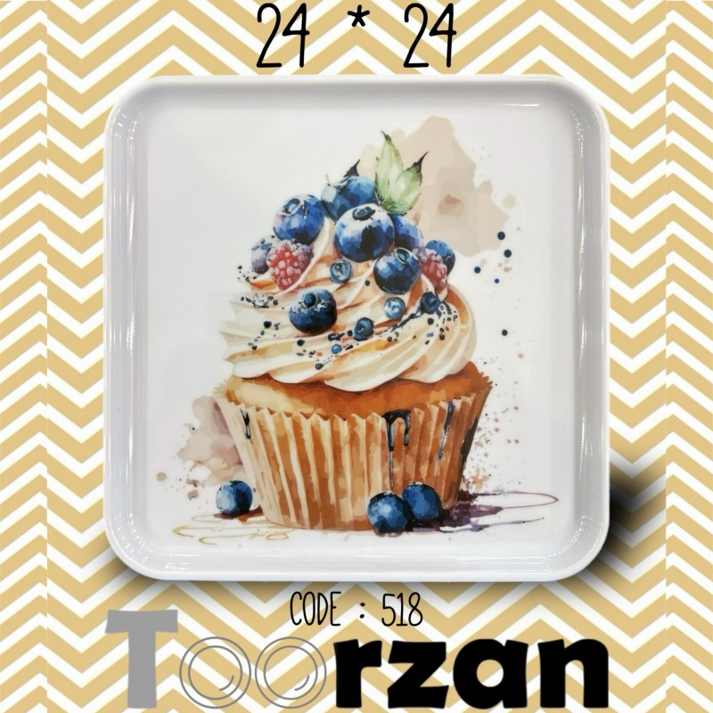 سینی پذیرایی ۲۴ در ۲۴