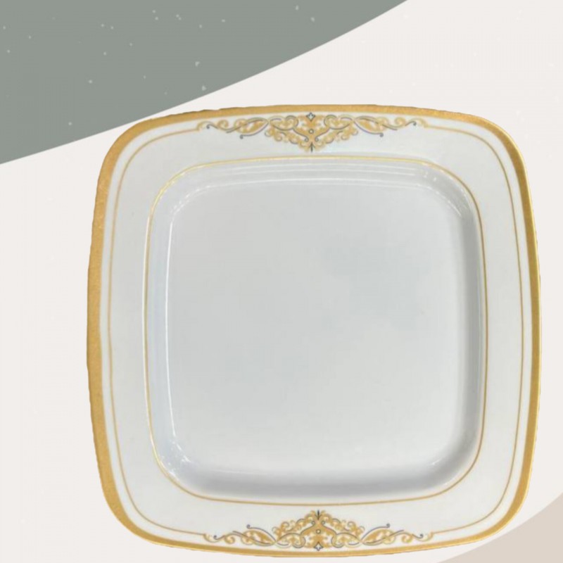 دیس پلو | طرح زرین |تورزن