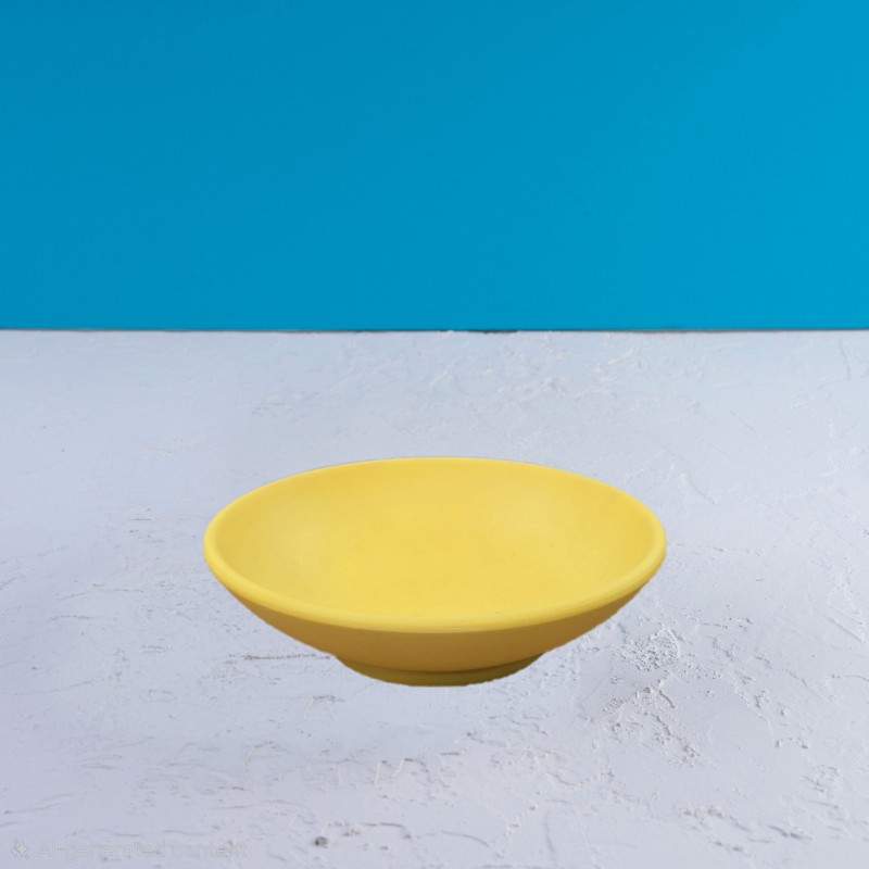 کاسه | قطر ۱۶ ارتفاع ۵ سانت | تورزن‌.