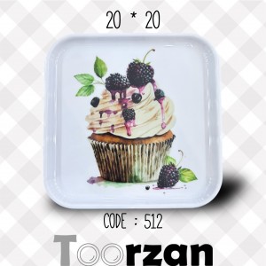 سینی پذیرایی ۲۰ در ۲۰