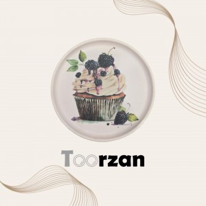 پیش دستی طرح دار | ۲۱ سانت | تورزن