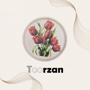 پیش دستی| ۲۱ سانت | تورزن