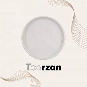 پیش دستی | ۲۱ سانت | تورزن.