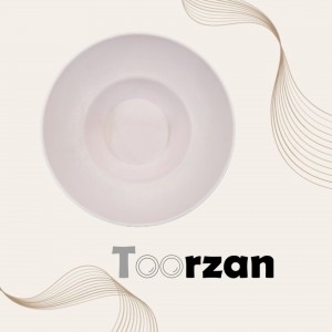 کاسه سالاد سزار و پاستا  |  قطر ۲۵ ارتفاع ۸ سانت| تورزن