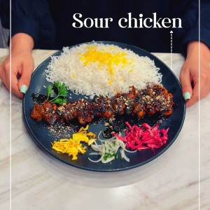 بشقاب | ۳۲ سانت بدون لبه| تورزن.