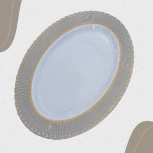 دیس  بیضی بزرگ | تیر |تورزن