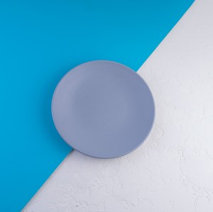 بشقاب  |  ۲۶ سانت بدون لبه| تورزن.