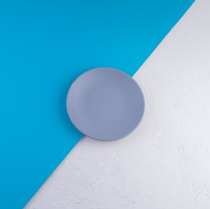 پیش دستی  | ۲1 سانت بدون لبه| تورزن.