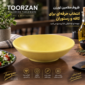 کاسه سوخاری | قطر ۱۶ ارتفاع ۵ سانت | تورزن‌.
