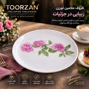 دیس بیضی  | رویال |تورزن