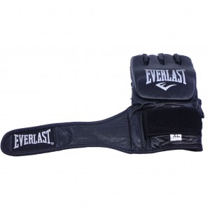 دستکش ام ام ای طرح اورلست مدل 2024-MMA Everlast.jpg