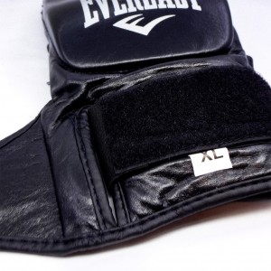 دستکش ام ام ای طرح اورلست مدل 2024-MMA Everlast.jpg