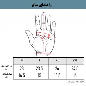دستکش بدنسازی الیمپ مدل OT-2026