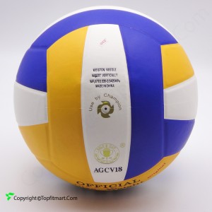 Gold cup volleyball ball AGCV18