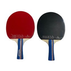 راکت پینگ پنگ لوکی مدل Kirin-۳۰۰۰ بسته 2 عددی به همراه کیف و 2 عدد توپ