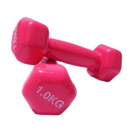 دمبل ایروبیک 1 کیلوگرمی پویا مدل D-1 بسته 2 عددی