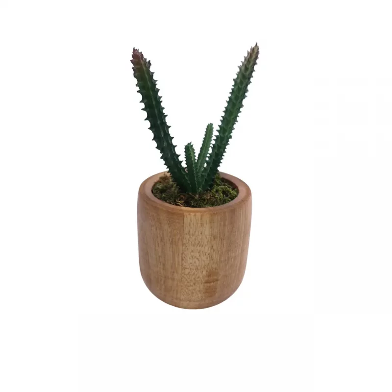 گلدان تزئینی چوبی کاکتوس کد WD5990