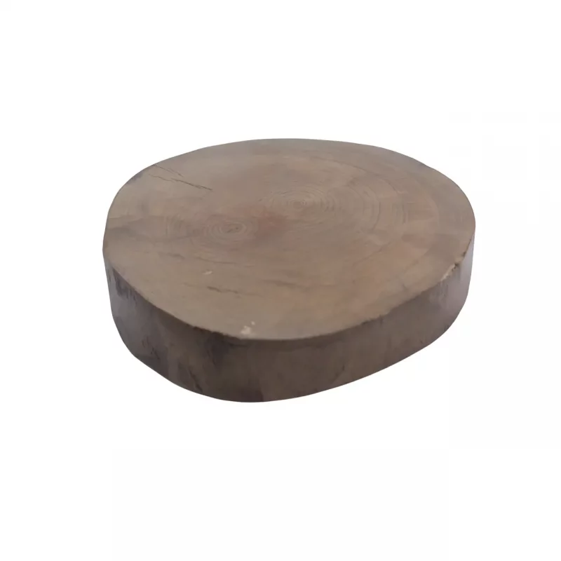 سینی رایزر دفرمه کد WD5949