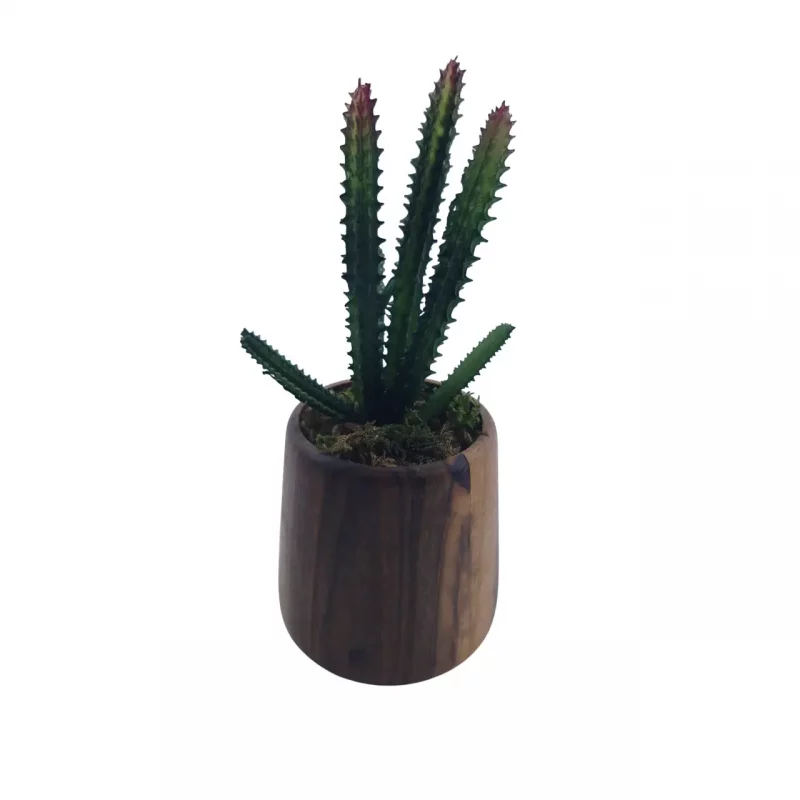 گلدان کاکتوس مصنوعی کد WD6098