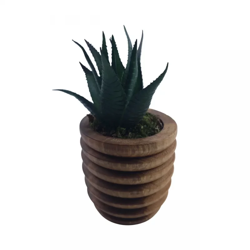 گلدان چوبی گل کاکتوس مصنوعی کد WD6099