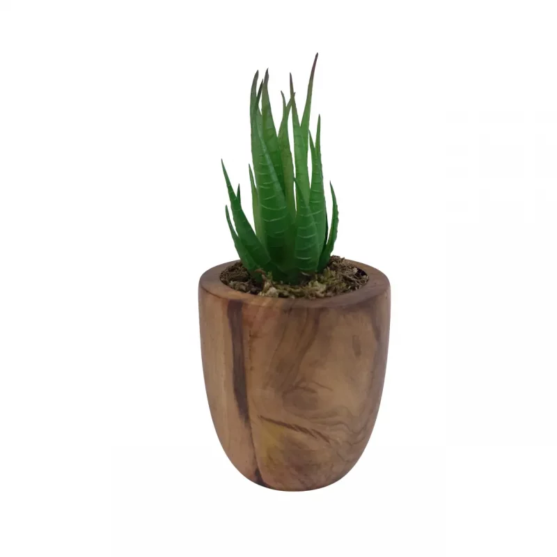گلدان چوبی با کاکاتوس مصنوعی  کد WD6158