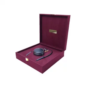 پک هدیه هدست بندگردن و اسپیکر هیوا کد PD5506