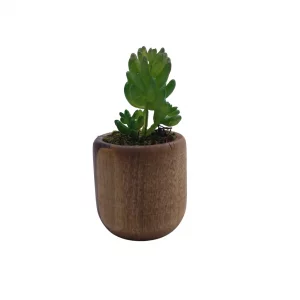 گلدان تزئینی چوبی کاکتوس کد WD5984