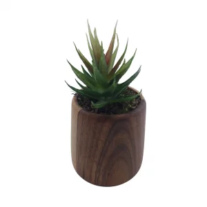 گلدان کاکتوس مصنوعی کد WD6102