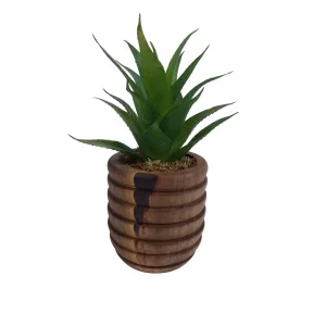 گلدان چوبی کاکتوس کد WD6157
