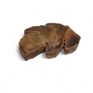 پیاله چوبی طرح برگ خزان کد WD6300