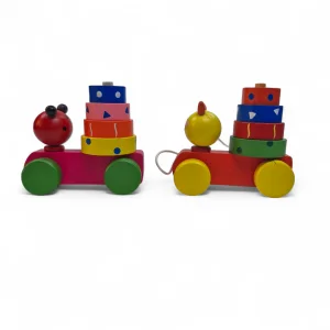 حلقه هوش چوبی چرخدار حیوانات کد WD6387