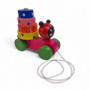 حلقه هوش چوبی چرخدار حیوانات کد WD6387