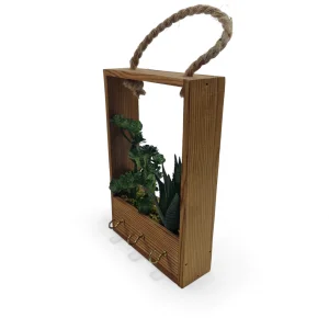 جا کلیدی و گلدان آویز طرح کاکتوس کد WD5837