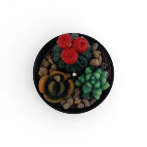 پیاله شمع طرح کاکتوس کد WD6793