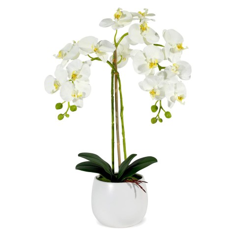 گل ارکیده سفید دو شاخه با گلدان سرامیکی