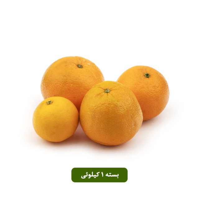 پرتقال تامسون شمال بسته 1 کیلوئی