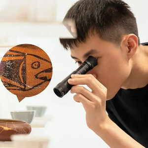 کیفیت تلسکوپ فوکوس نزدیک سلسترون