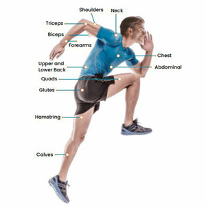 خرید ماساژور تفنگی بدن پاورولوژی