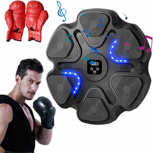 کیسه بوکس دیواری مدل ZL-9 موزیکال هوشمند