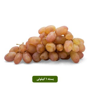 انگور شاهرودی بسته یک کیلوئی