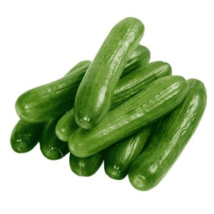 خیار بوته ای درجه یک