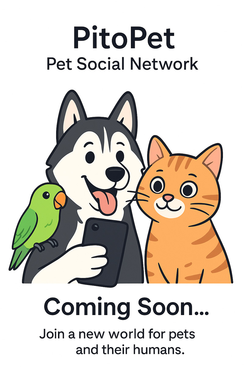 Pito Pet