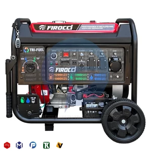 موتور برق سه گانه سوز فیروچی 12 کیلووات مدل FSG17000E2-V-RC+LPG+NG ریموت دار