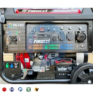 موتور برق سه گانه سوز فیروچی 12 کیلووات مدل FSG17000E2-V-RC+LPG+NG ریموت دار